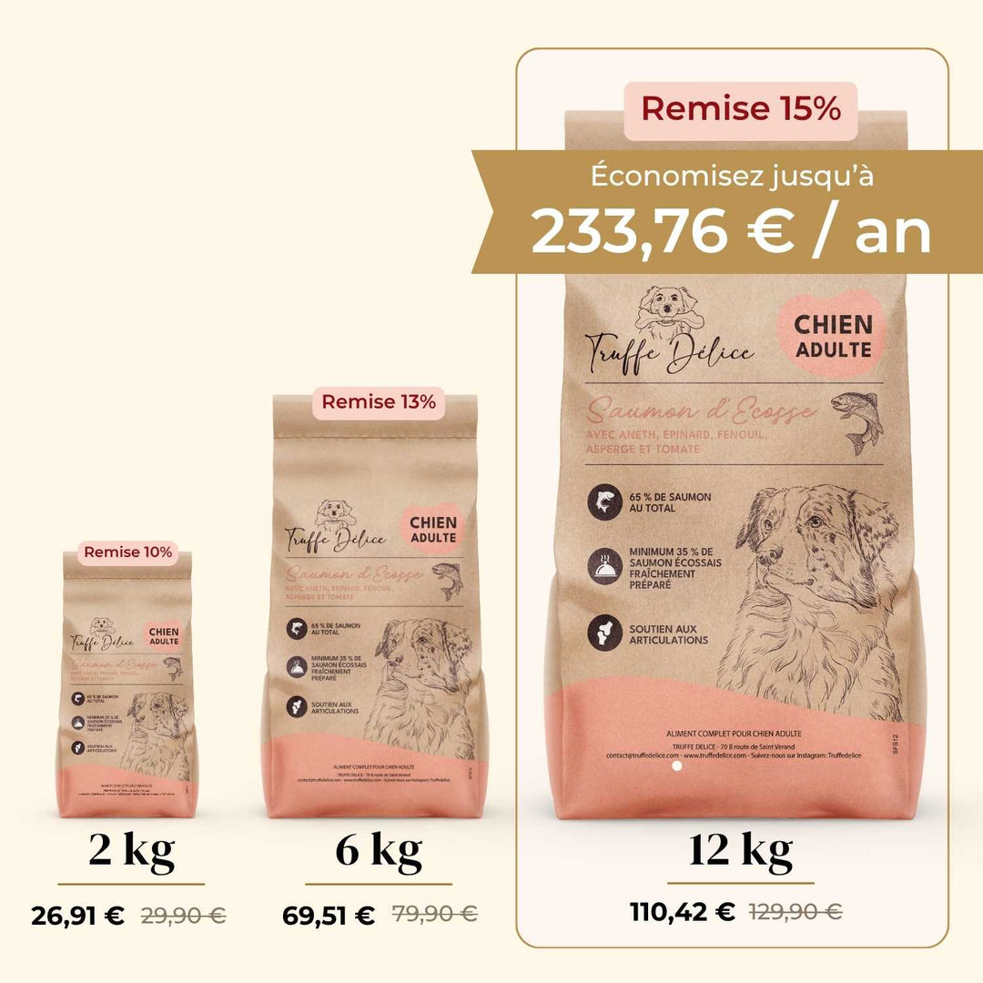 Croquettes chien adulte - Saumon d'Écosse - friandise_naturelle_pour_chien - TRUFFE DÉLICE