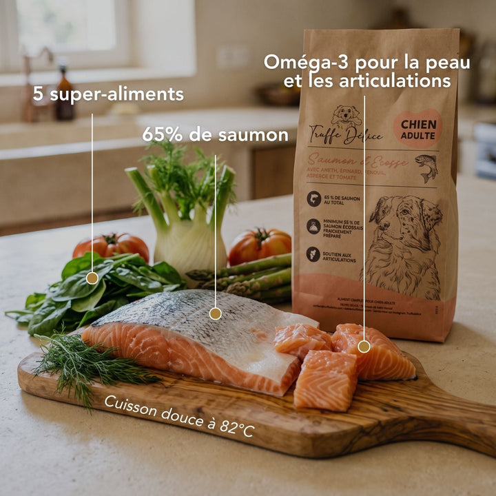 Croquettes chien adulte - Saumon d'Écosse - friandise_naturelle_pour_chien - TRUFFE DÉLICE