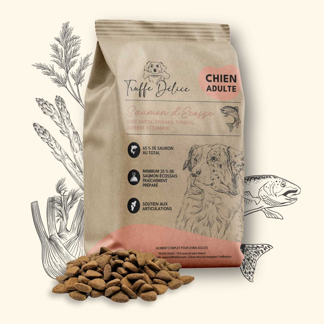 Croquettes chien adulte - Saumon d'Écosse - friandise_naturelle_pour_chien - TRUFFE DÉLICE