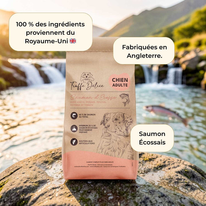 Croquettes chien adulte - Saumon d'Écosse - friandise_naturelle_pour_chien - TRUFFE DÉLICE