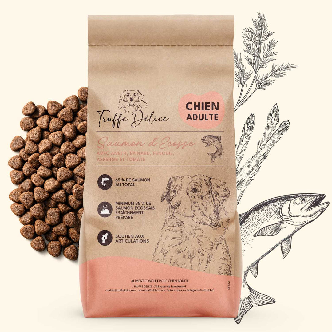 Croquettes chien adulte au saumon d’Écosse premium Truffe Délice riches en oméga-3 pour peau sensible et digestion optimale.
