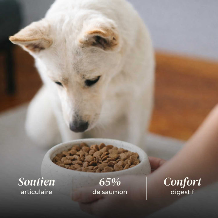 Croquettes chien senior - Saumon d'Écosse - friandise_naturelle_pour_chien - TRUFFE DÉLICE