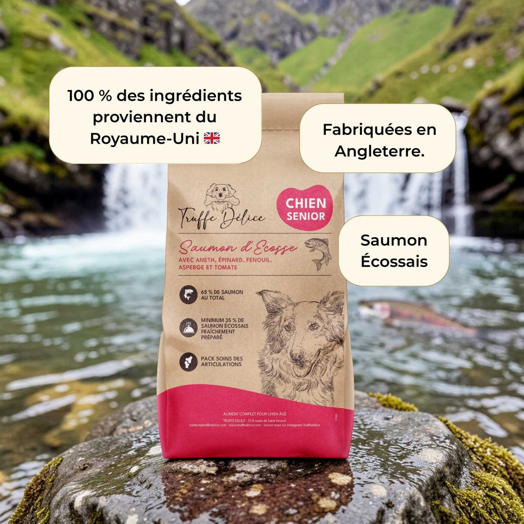 Croquettes chien senior - Saumon d'Écosse - friandise_naturelle_pour_chien - TRUFFE DÉLICE