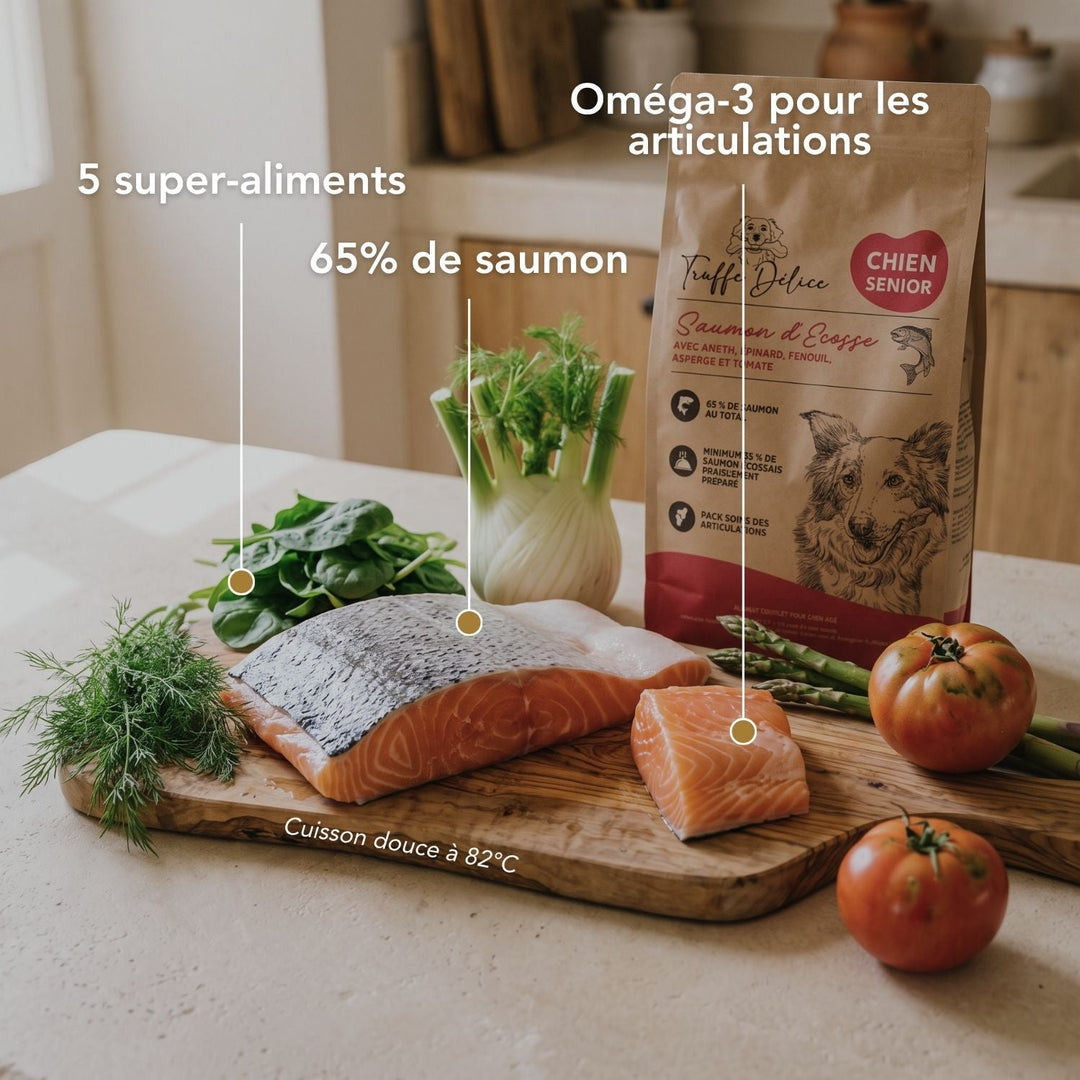 Croquettes chien senior - Saumon d'Écosse - friandise_naturelle_pour_chien - TRUFFE DÉLICE