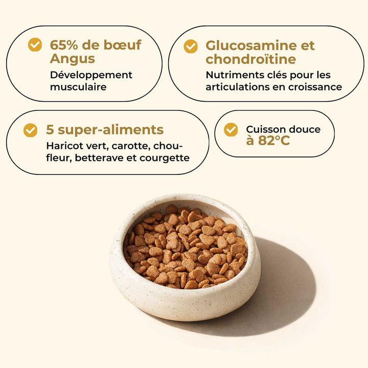 Croquettes chiot - Bœuf Angus - friandise_naturelle_pour_chien - TRUFFE DÉLICE
