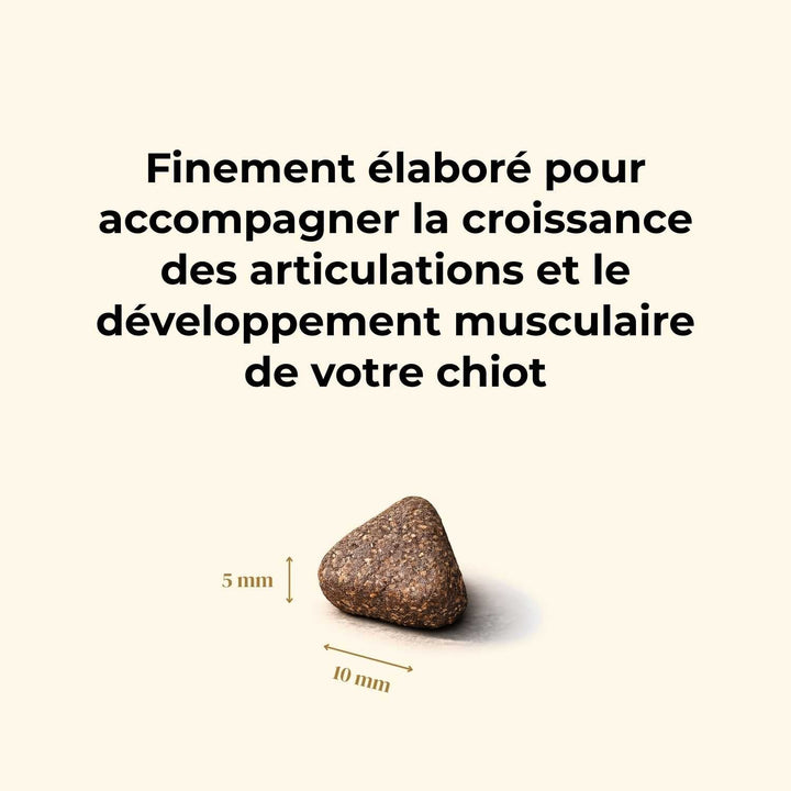 Croquettes chiot - Bœuf Angus - friandise_naturelle_pour_chien - TRUFFE DÉLICE