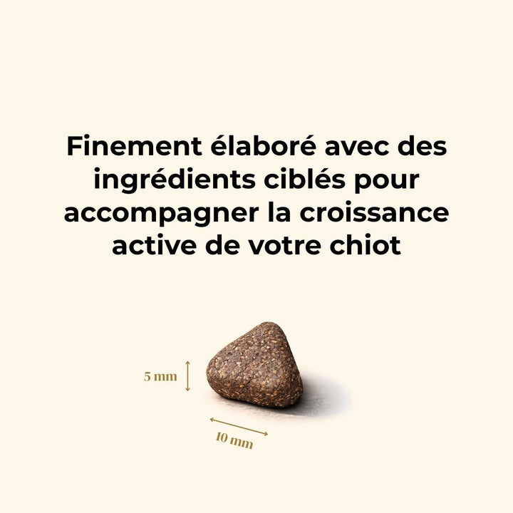 Croquettes chiot - Dinde & Cochon élevés en plein air - friandise_naturelle_pour_chien - TRUFFE DÉLICE