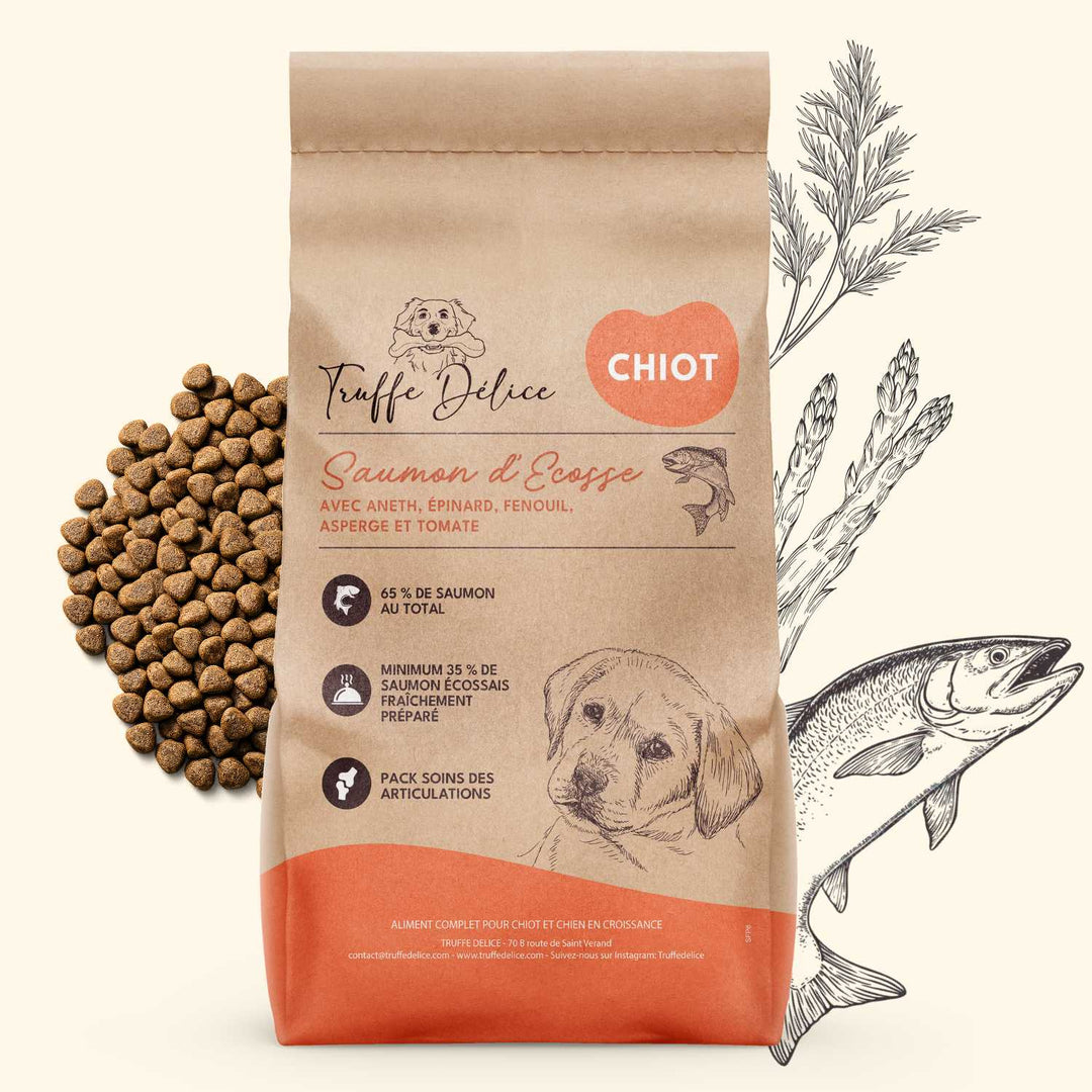 Croquettes chiot - Saumon d'Écosse - friandise_naturelle_pour_chien - TRUFFE DÉLICE