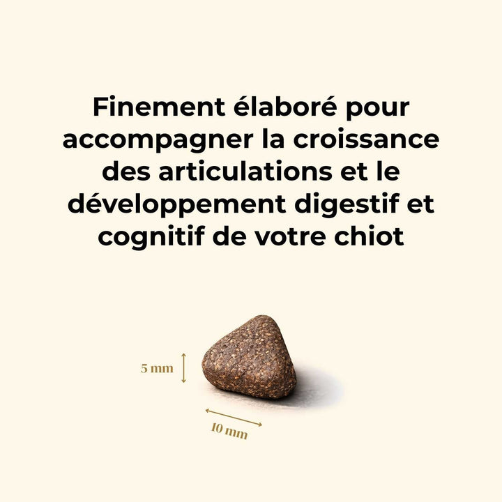 Croquettes chiot - Saumon d'Écosse - friandise_naturelle_pour_chien - TRUFFE DÉLICE