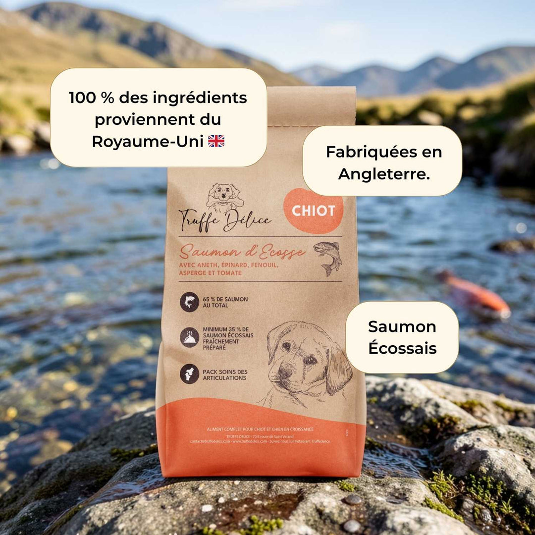 Croquettes chiot - Saumon d'Écosse - friandise_naturelle_pour_chien - TRUFFE DÉLICE