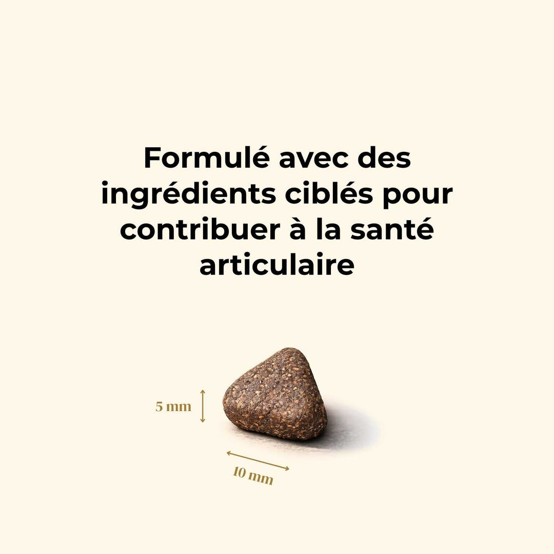 Croquettes petit chien adulte - Bœuf Angus - friandise_naturelle_pour_chien - TRUFFE DÉLICE