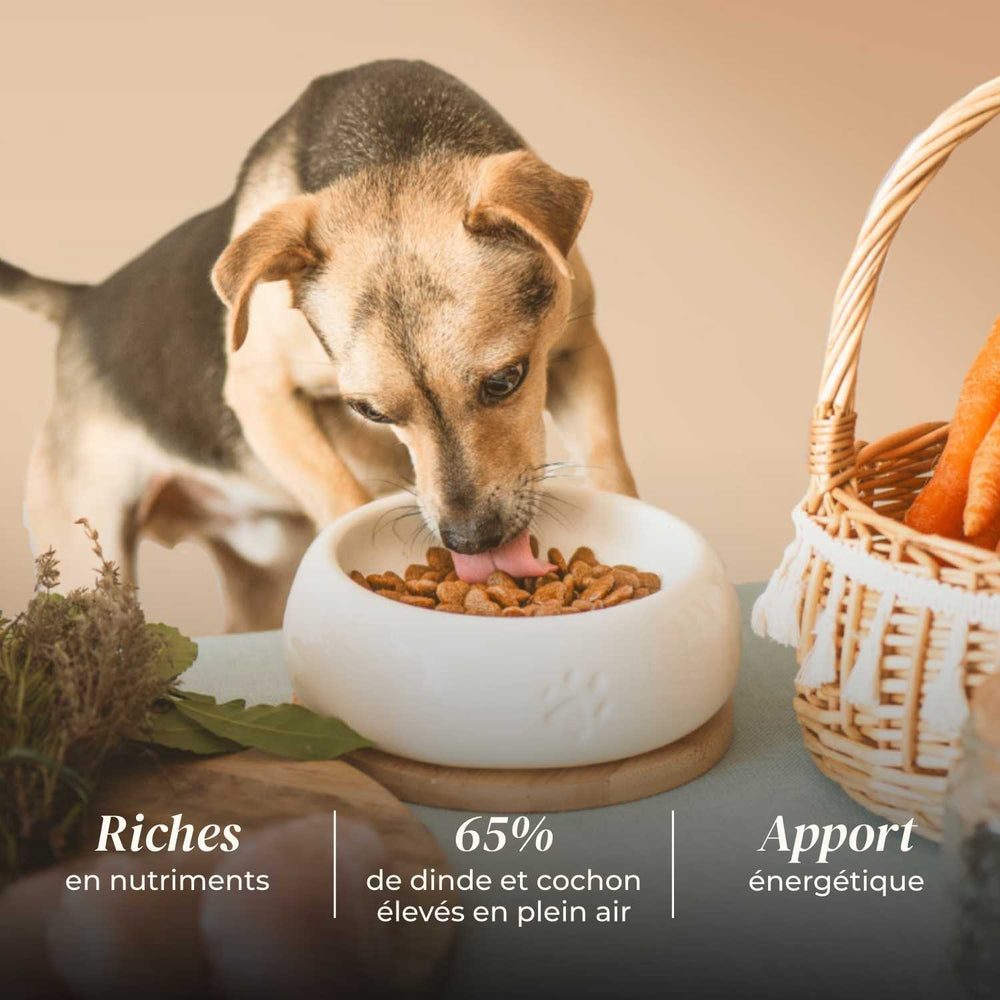 Croquettes petit chien adulte - Dinde & Cochon élevés en plein air - friandise_naturelle_pour_chien - TRUFFE DÉLICE