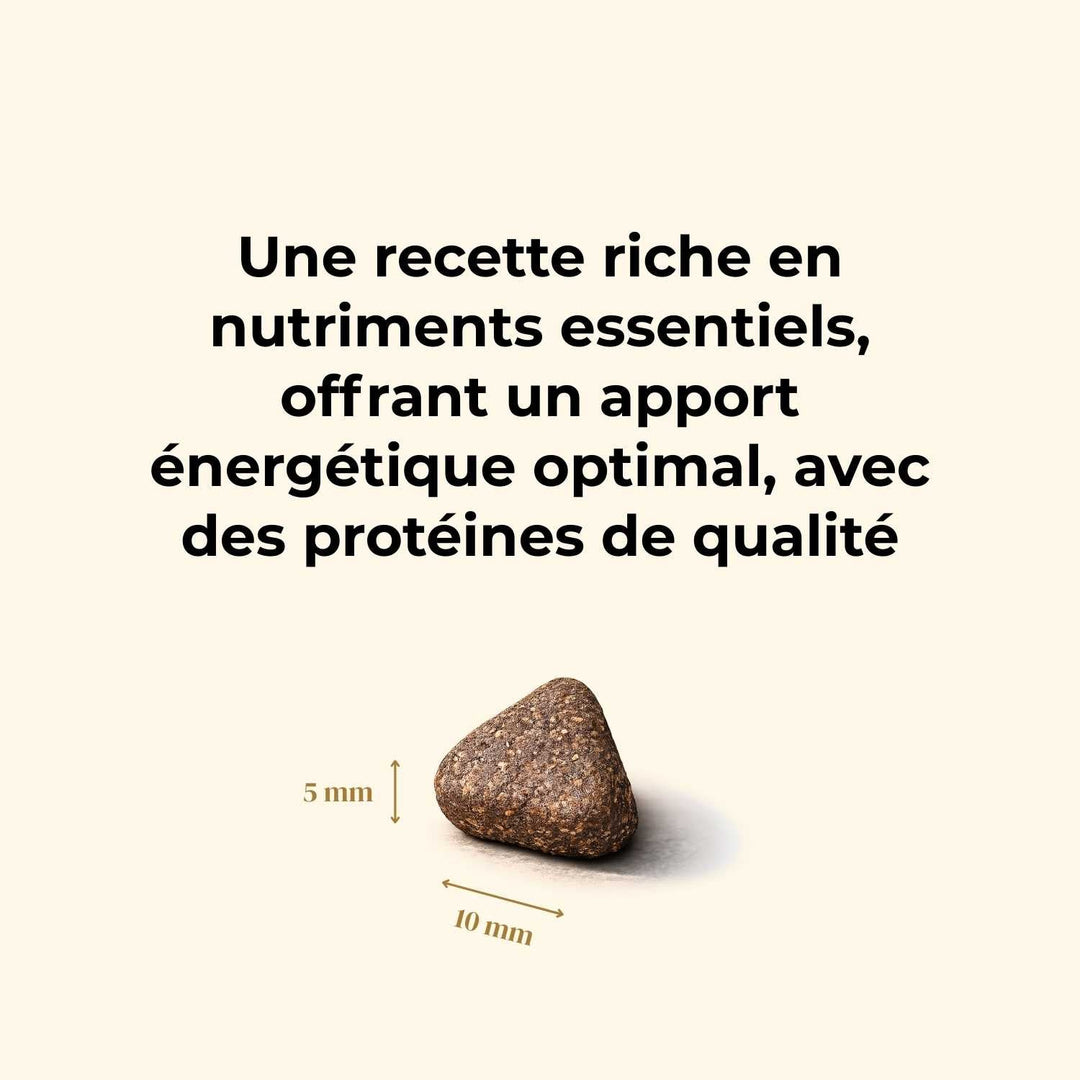 Croquettes petit chien adulte - Dinde & Cochon élevés en plein air - friandise_naturelle_pour_chien - TRUFFE DÉLICE