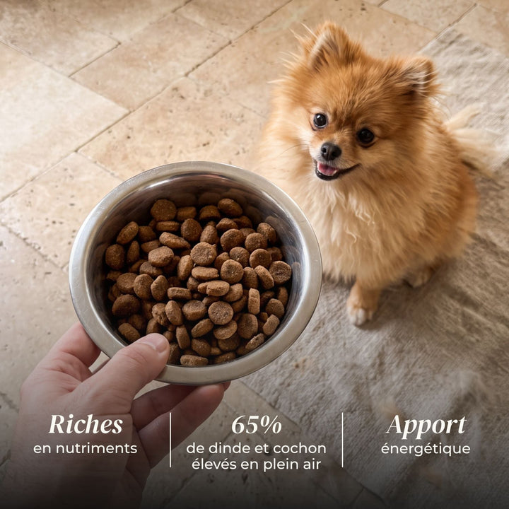 Croquettes petit chien adulte - Dinde élevés en plein air - friandise_naturelle_pour_chien - TRUFFE DÉLICE