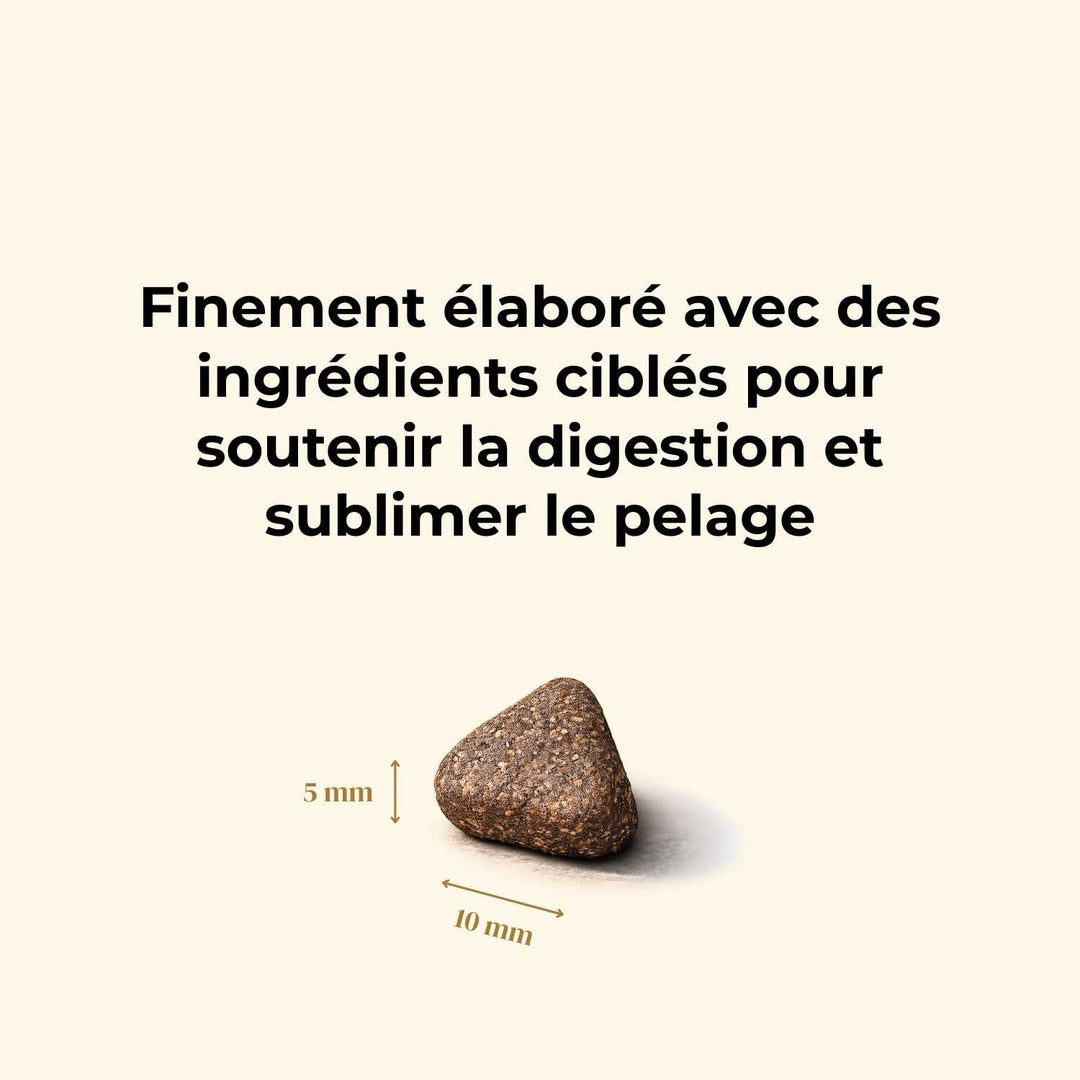 Croquettes petit chien adulte - Saumon d'Écosse - friandise_naturelle_pour_chien - TRUFFE DÉLICE