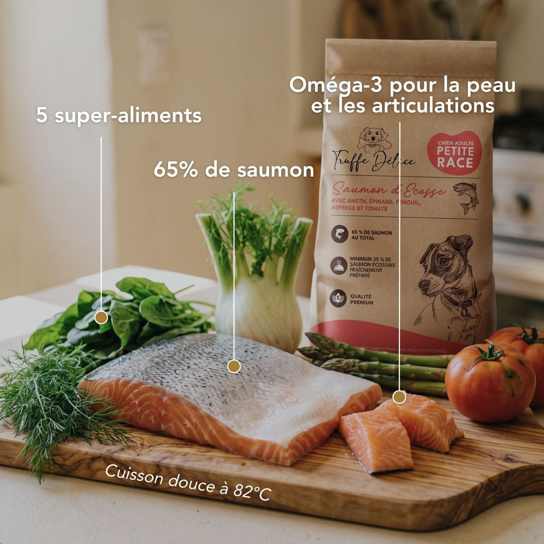Croquettes petit chien adulte - Saumon d'Écosse - friandise_naturelle_pour_chien - TRUFFE DÉLICE