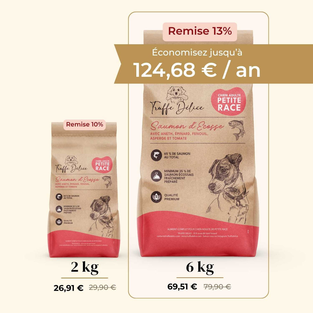 Croquettes petit chien adulte - Saumon d'Écosse - friandise_naturelle_pour_chien - TRUFFE DÉLICE