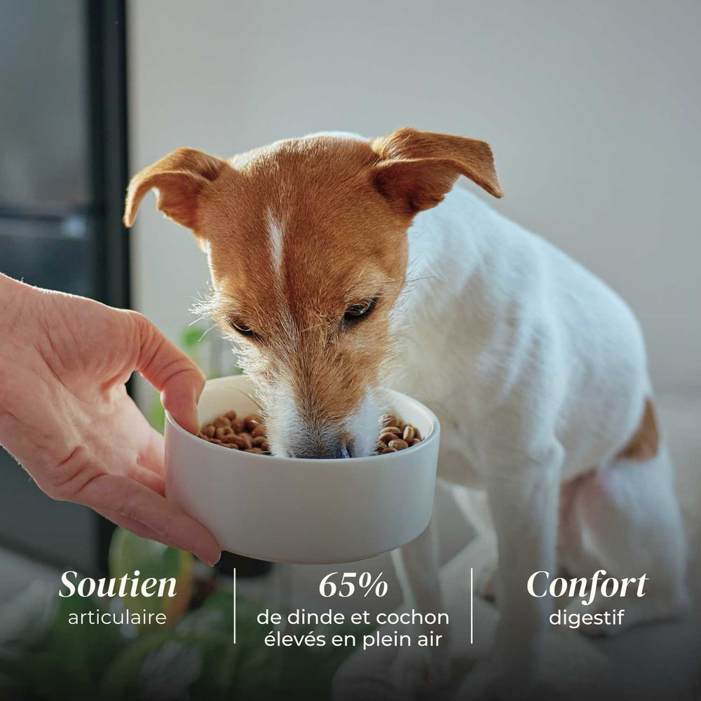 Croquettes petit chien senior - Dinde & Cochon élevés en plein air - friandise_naturelle_pour_chien - TRUFFE DÉLICE