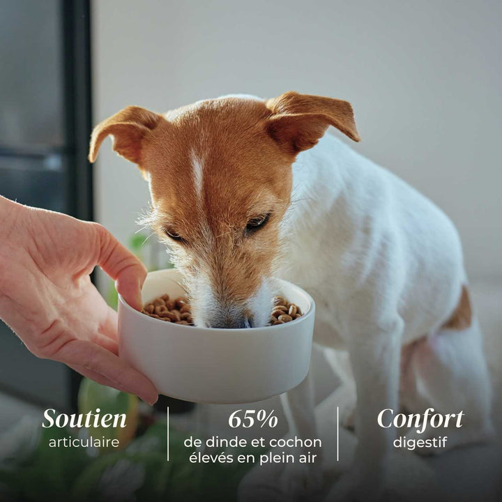 Croquettes petit chien senior - Dinde & Cochon élevés en plein air - friandise_naturelle_pour_chien - TRUFFE DÉLICE