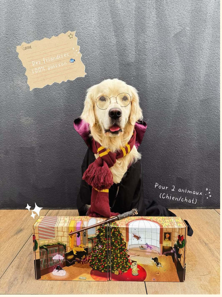 Duo Magique 🪄 - friandise_naturelle_pour_chien - TRUFFE DÉLICE