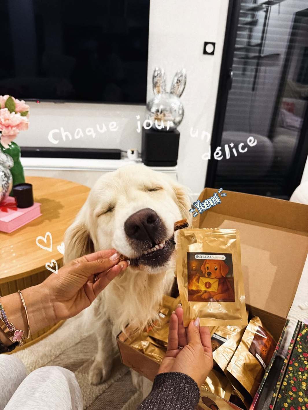 Duo Magique 🪄 - friandise_naturelle_pour_chien - TRUFFE DÉLICE