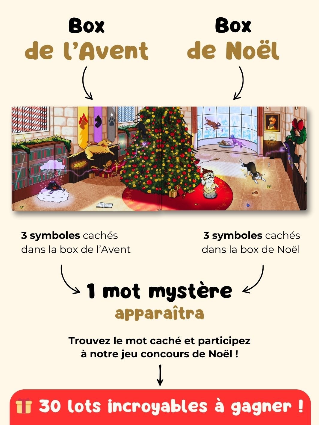 Duo Magique 🪄 - friandise_naturelle_pour_chien - TRUFFE DÉLICE