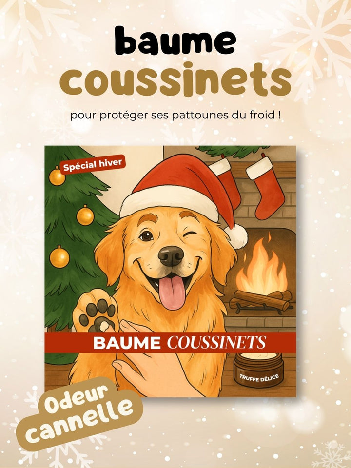Duo Magique 🪄 - friandise_naturelle_pour_chien - TRUFFE DÉLICE