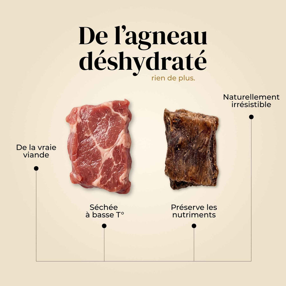 Friandises agneau - friandise_naturelle_pour_chien - TRUFFE DÉLICE
