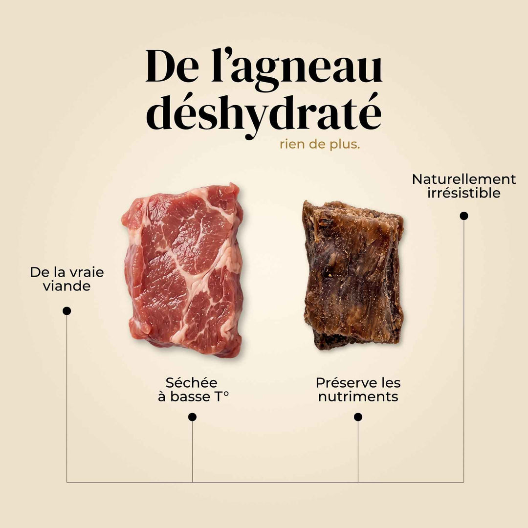 Friandises agneau - friandise_naturelle_pour_chien - TRUFFE DÉLICE