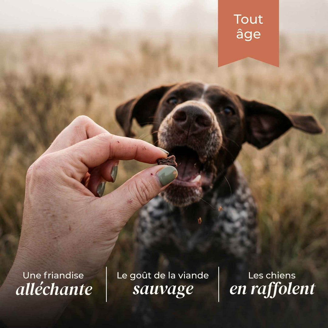 Friandises biche - friandise_naturelle_pour_chien - TRUFFE DÉLICE