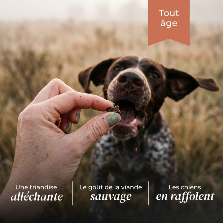 Friandises biche - friandise_naturelle_pour_chien - TRUFFE DÉLICE
