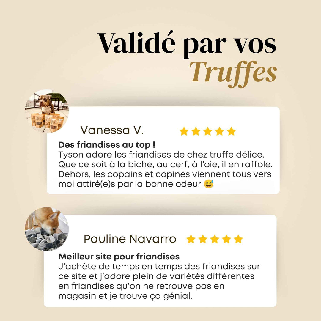 Friandises biche - friandise_naturelle_pour_chien - TRUFFE DÉLICE