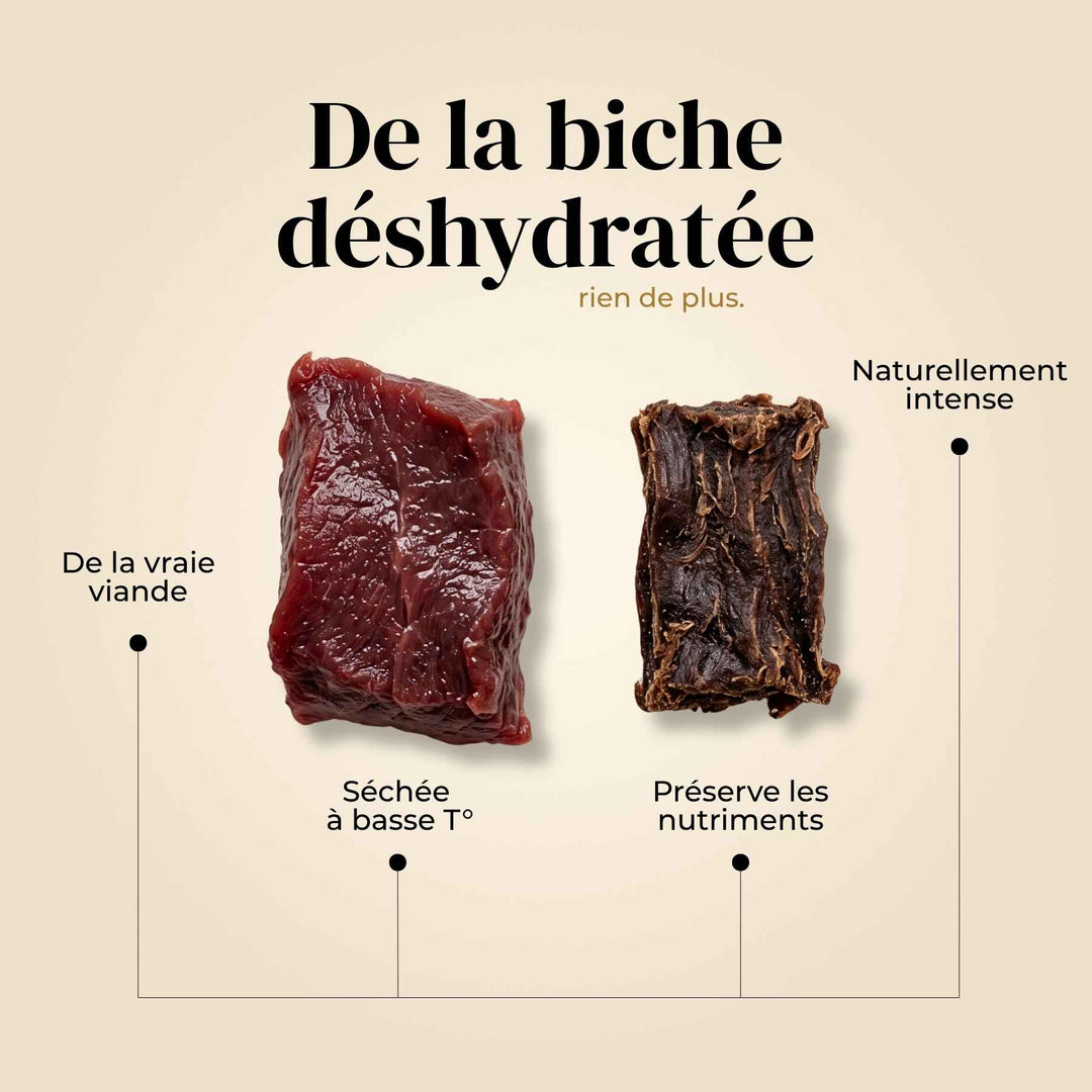 Friandises biche - friandise_naturelle_pour_chien - TRUFFE DÉLICE