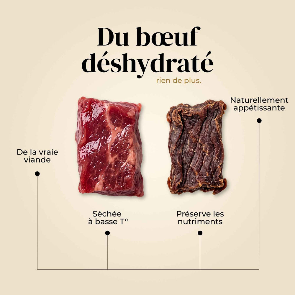 Friandises boeuf - friandise_naturelle_pour_chien - TRUFFE DÉLICE