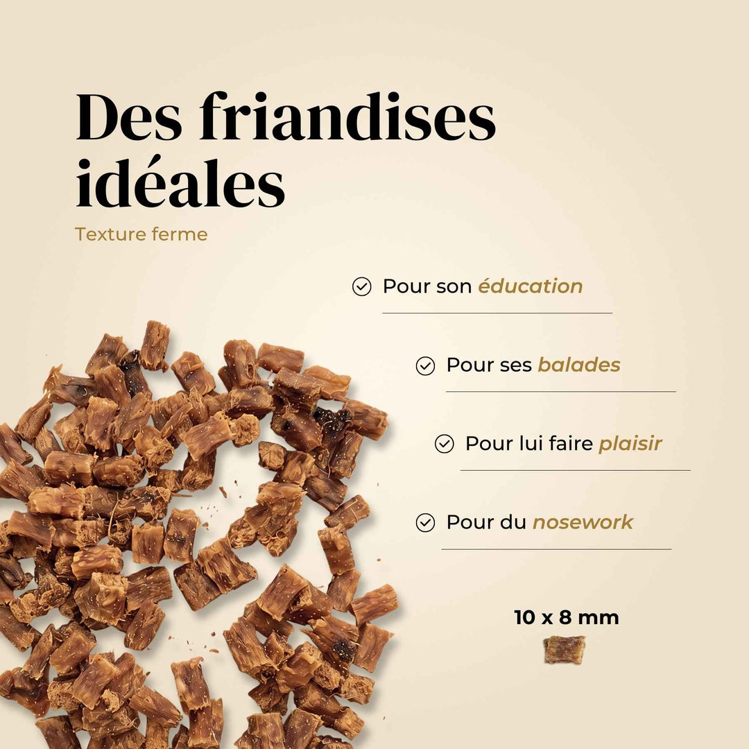 Friandises canard - friandise_naturelle_pour_chien - TRUFFE DÉLICE