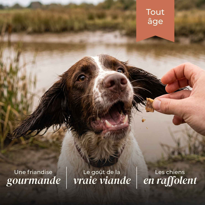 Friandises canard - friandise_naturelle_pour_chien - TRUFFE DÉLICE