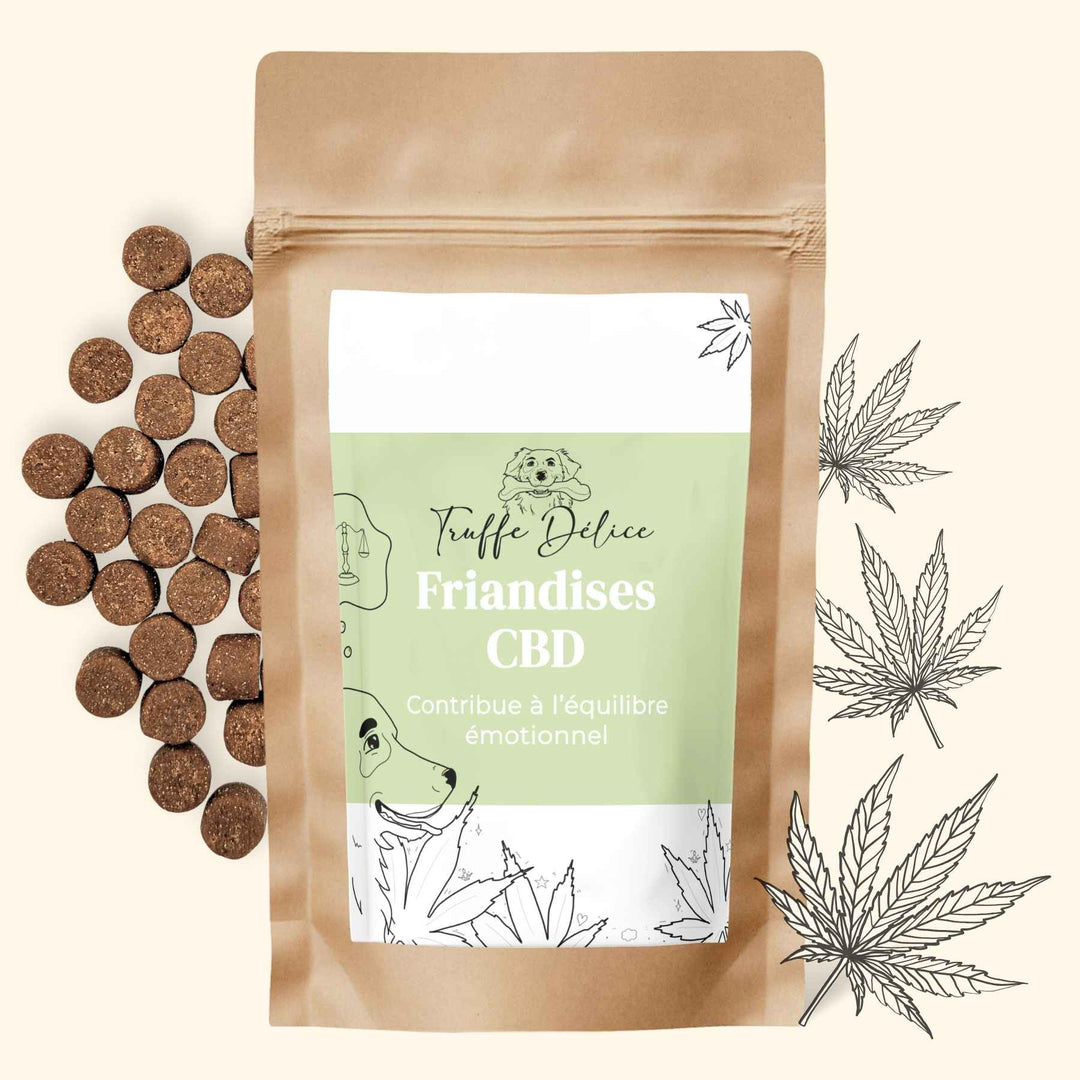 Friandises CBD naturelles pour chien Truffe Délice, complément alimentaire contribuant à l’équilibre émotionnel
