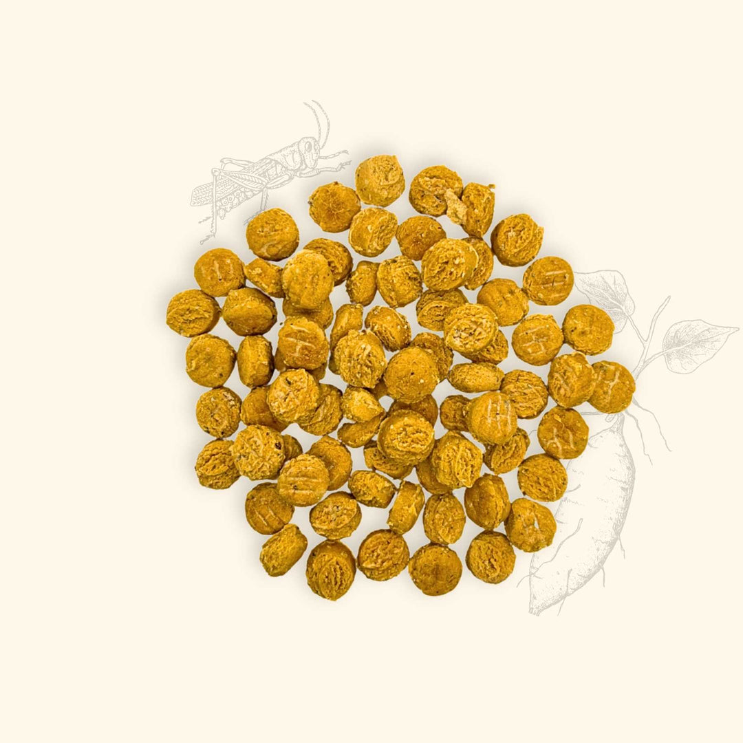 Friandises criquets - friandise_naturelle_pour_chien - TRUFFE DÉLICE