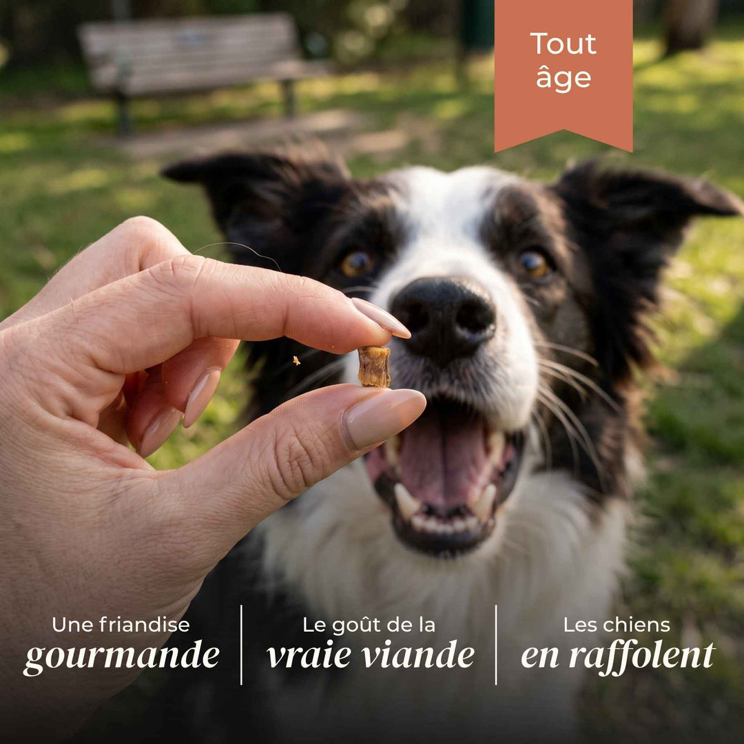 Friandises dinde - friandise_naturelle_pour_chien - TRUFFE DÉLICE
