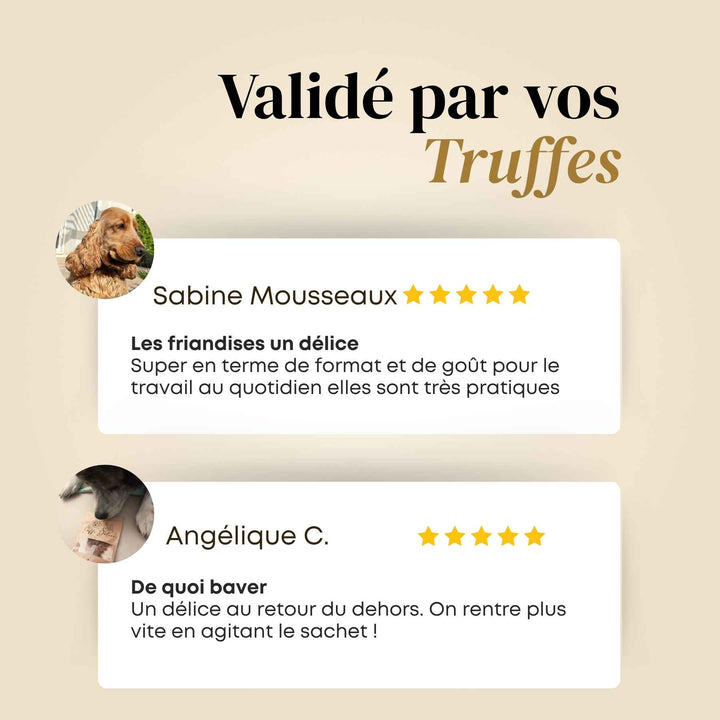 Friandises dinde - friandise_naturelle_pour_chien - TRUFFE DÉLICE