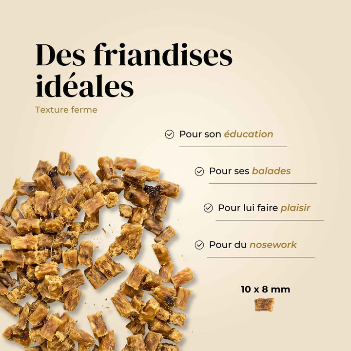Friandises dinde - friandise_naturelle_pour_chien - TRUFFE DÉLICE