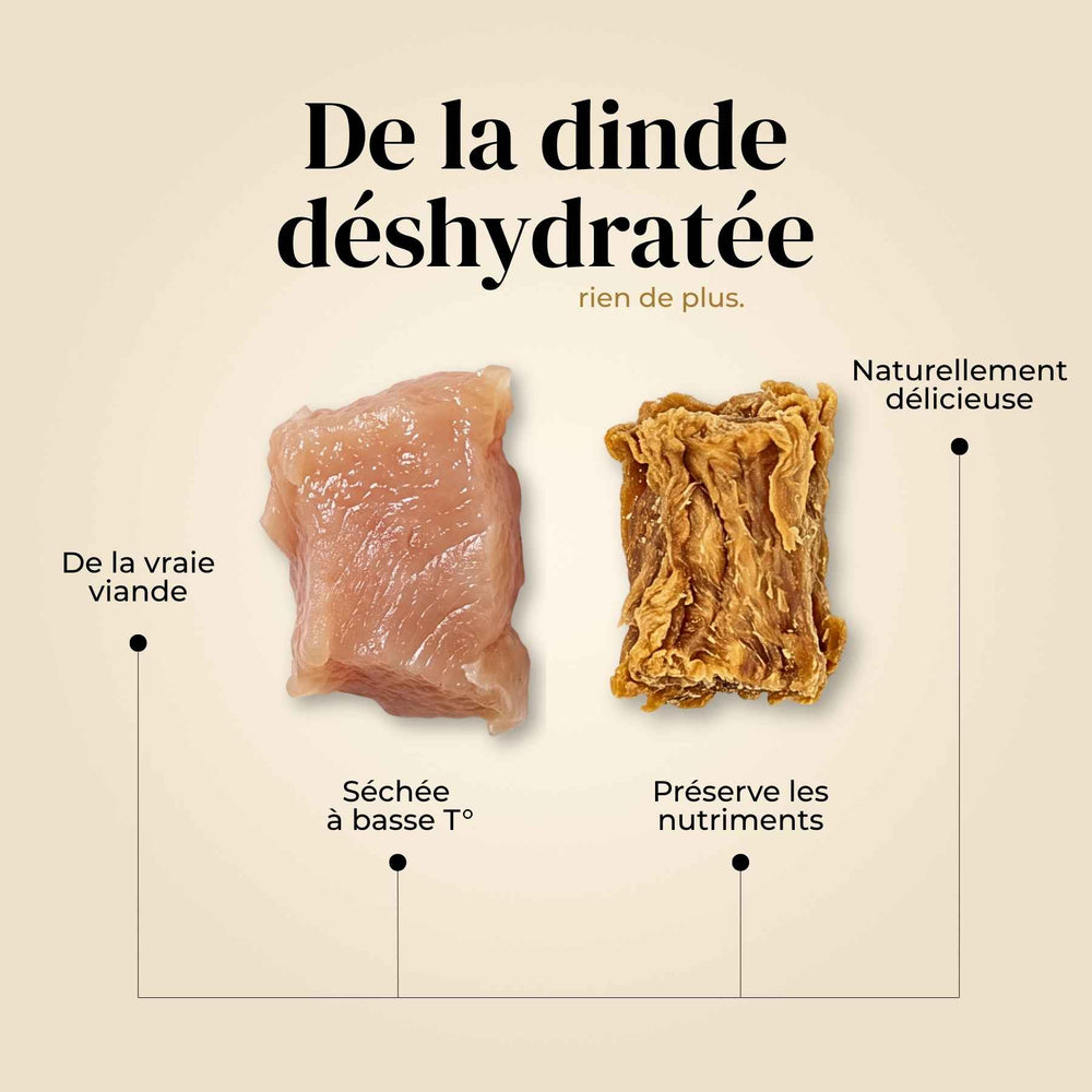 Friandises dinde - friandise_naturelle_pour_chien - TRUFFE DÉLICE