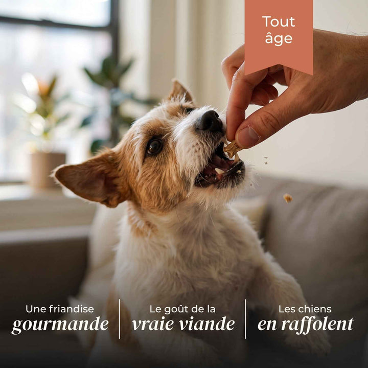 Friandises lapin - friandise_naturelle_pour_chien - TRUFFE DÉLICE