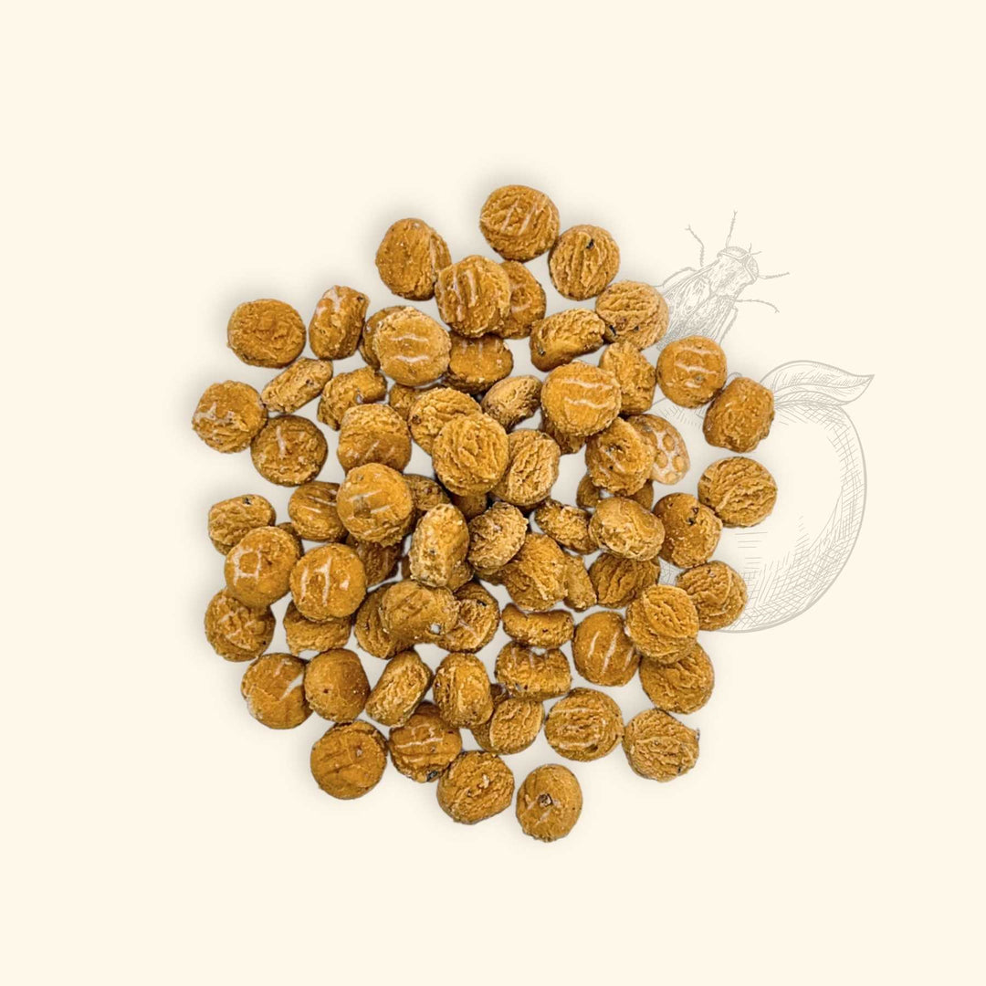 Friandises mouches - friandise_naturelle_pour_chien - TRUFFE DÉLICE