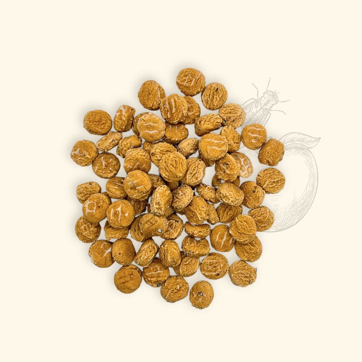 Friandises mouches - friandise_naturelle_pour_chien - TRUFFE DÉLICE