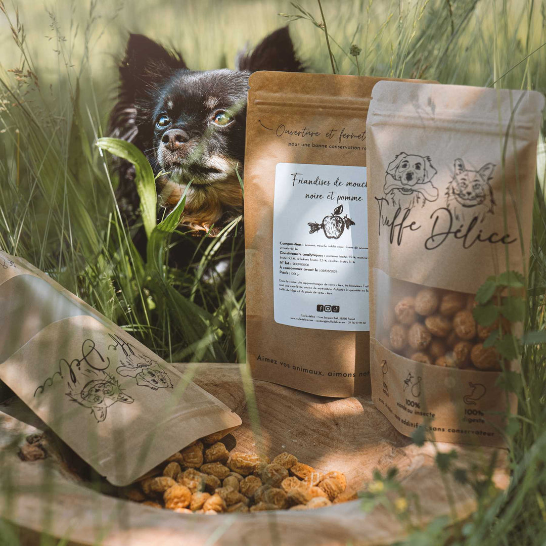 Friandises mouches - friandise_naturelle_pour_chien - TRUFFE DÉLICE