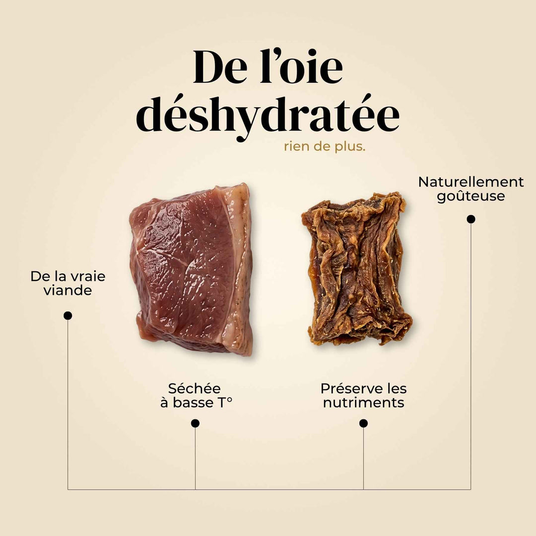 Friandises oie - friandise_naturelle_pour_chien - TRUFFE DÉLICE