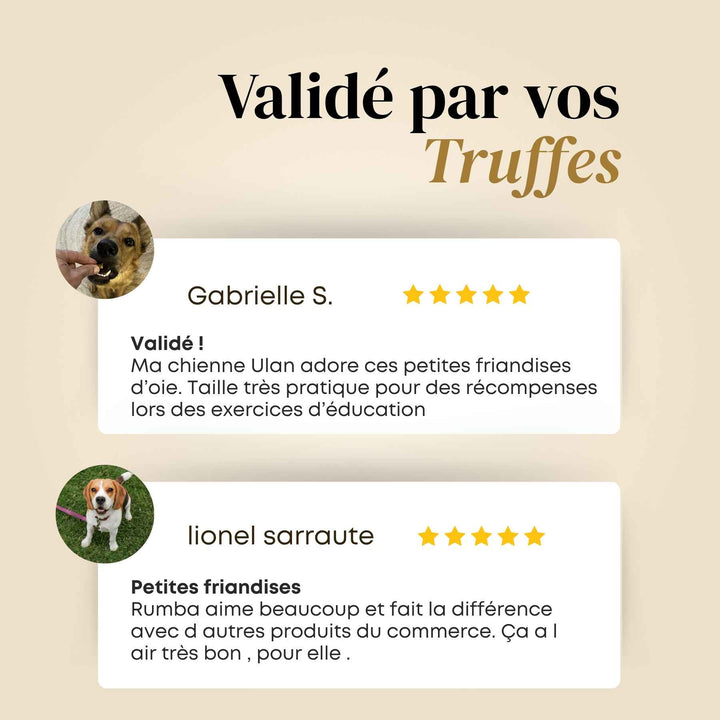 Friandises oie - friandise_naturelle_pour_chien - TRUFFE DÉLICE