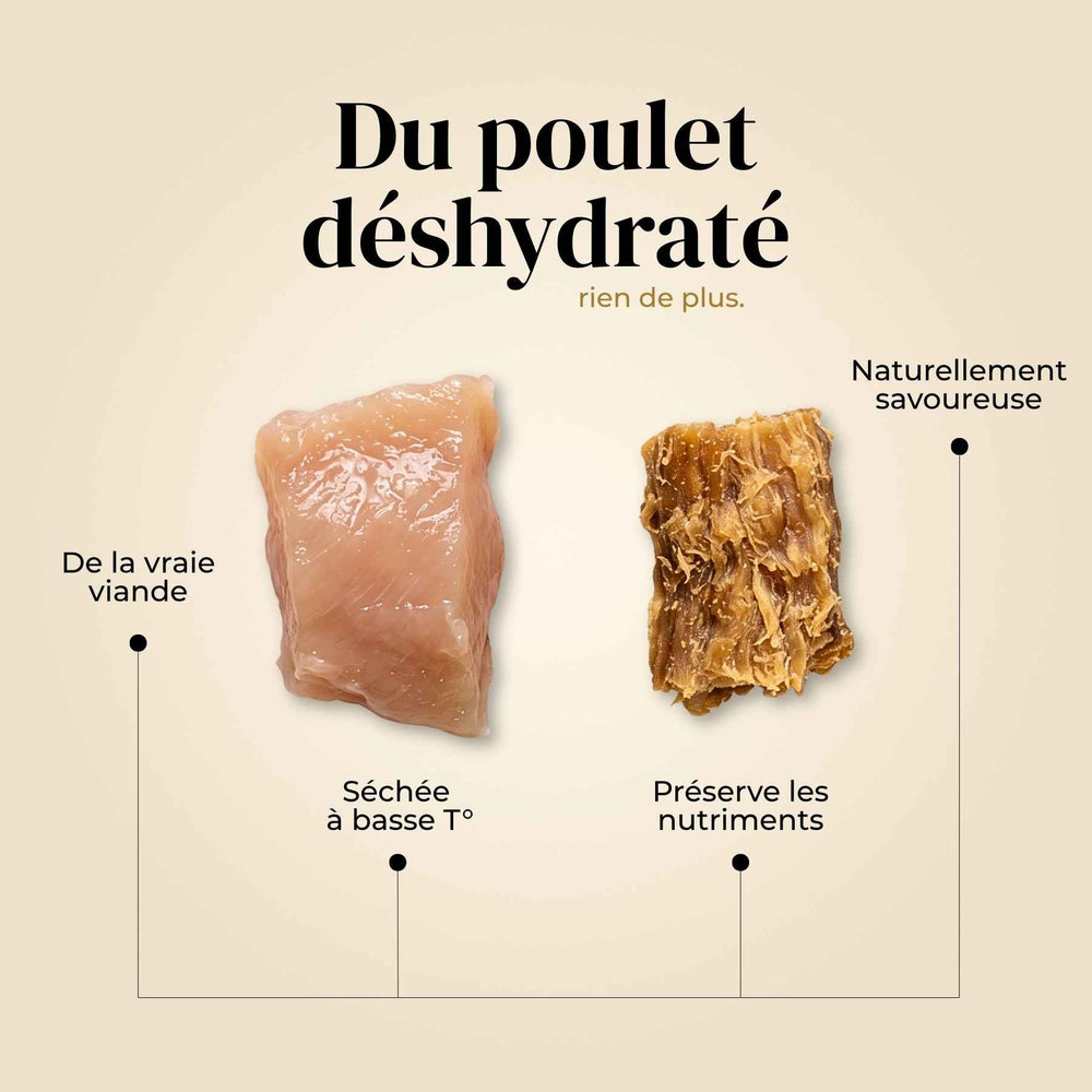 Friandises poulet - friandise_naturelle_pour_chien - TRUFFE DÉLICE