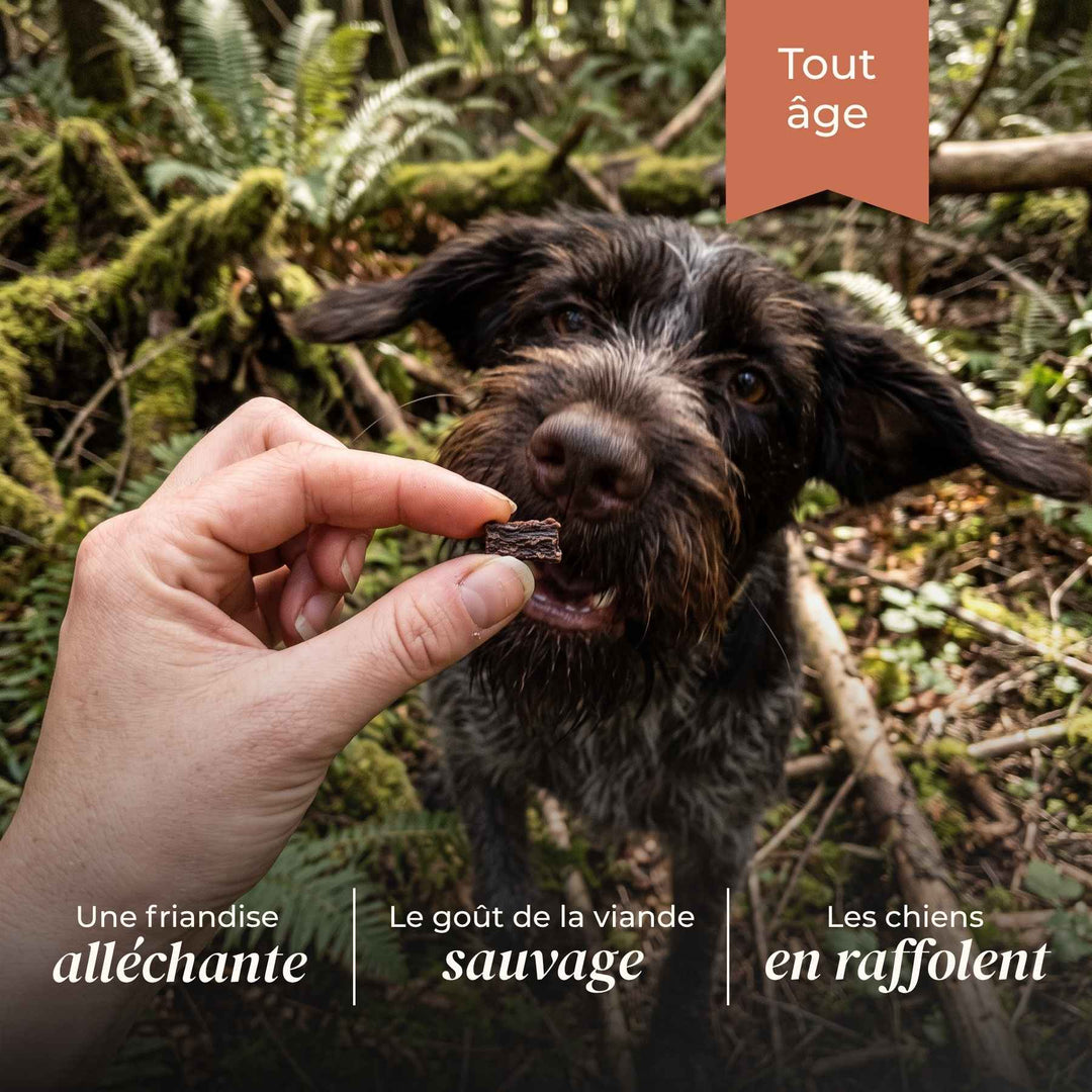 Friandises sanglier - friandise_naturelle_pour_chien - TRUFFE DÉLICE